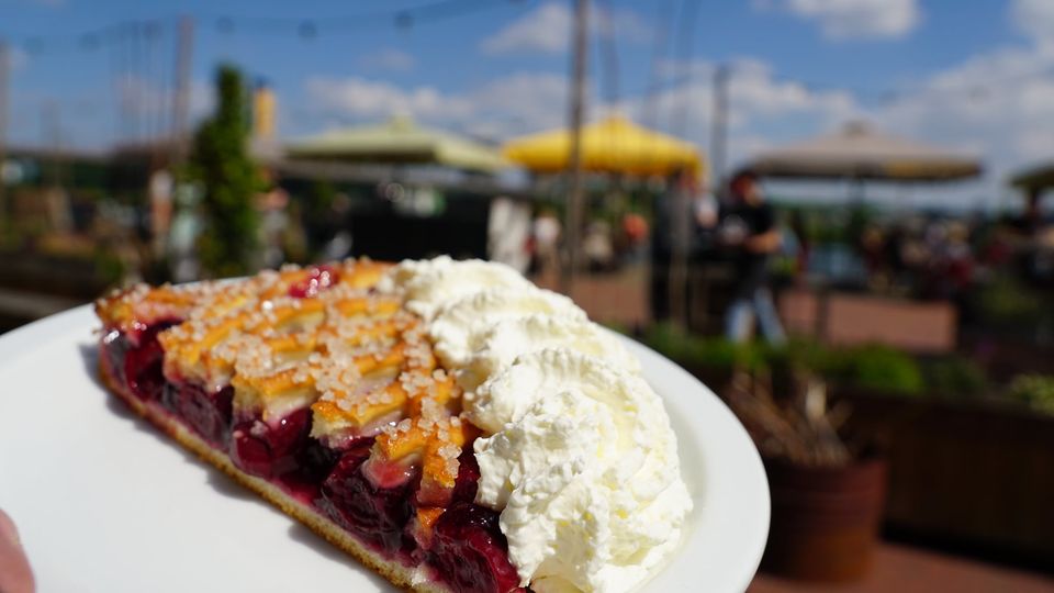 Beste terras van Nederland